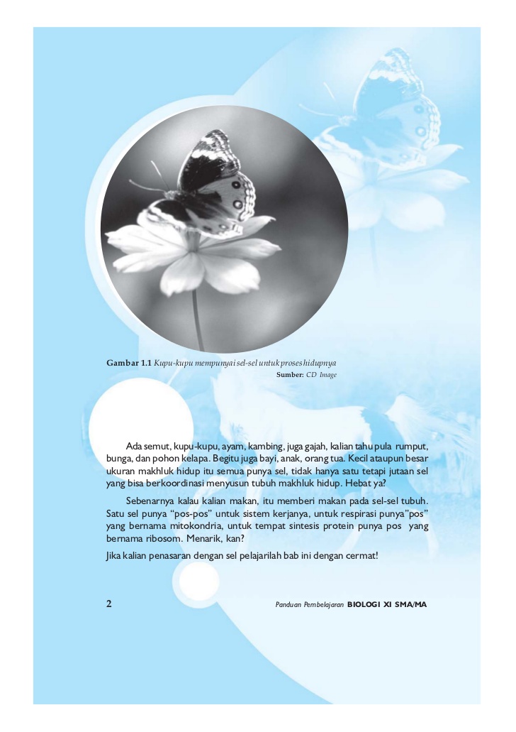 biologi kelas 11 pdf erlangga
